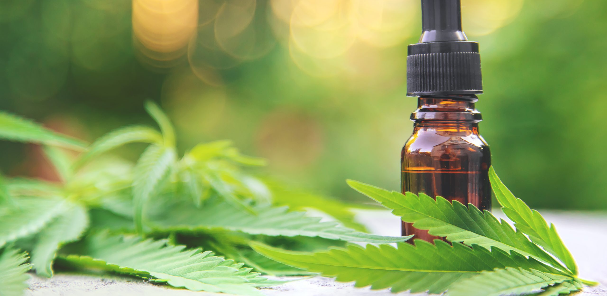 cannabis-essential-oil-small-bottle-selective-focus-nature